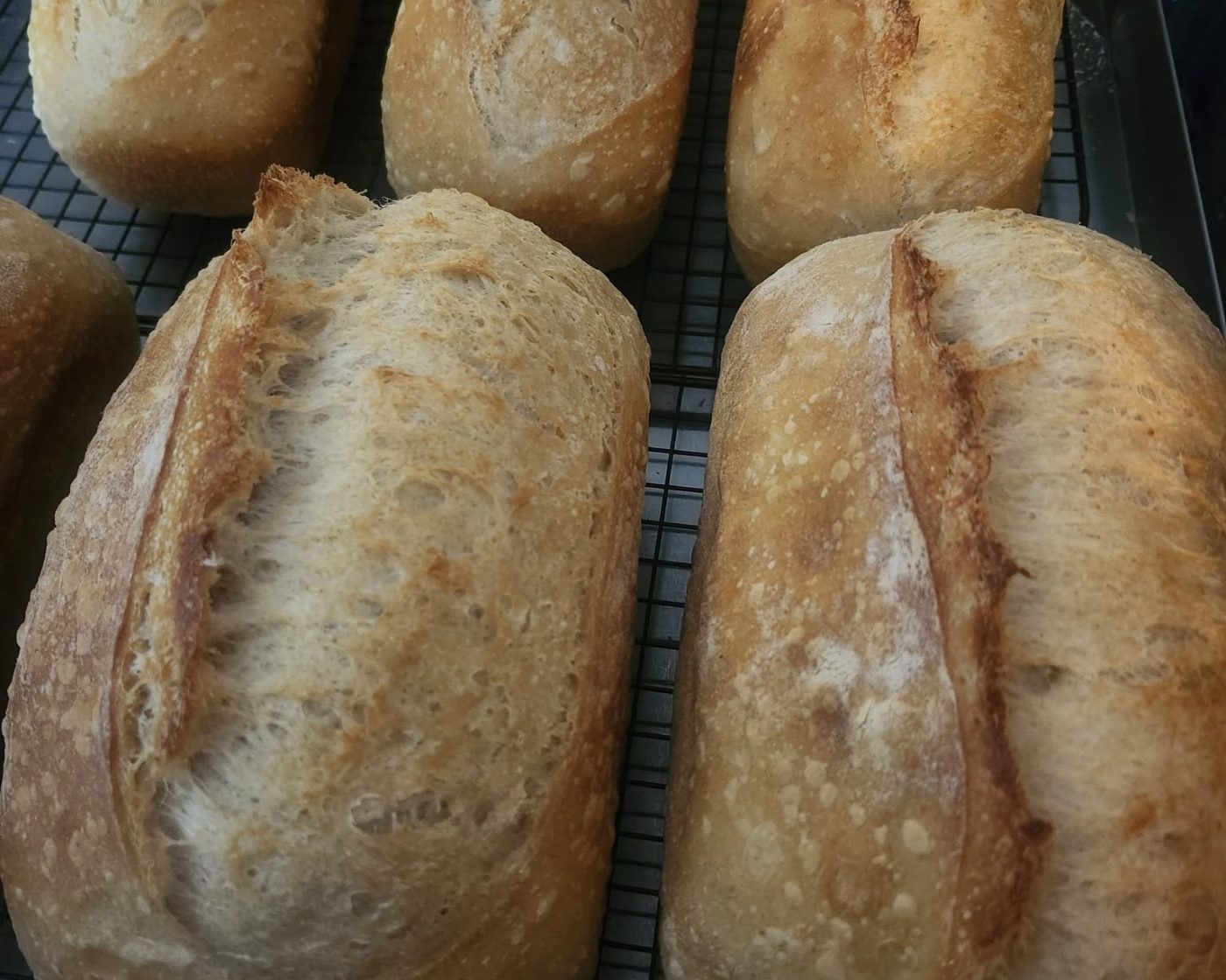 Loaves of fresh baked bread